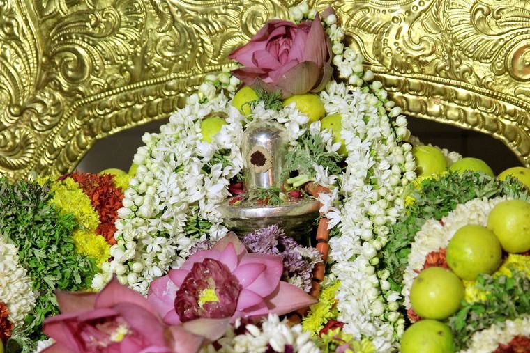 Sadguru Sri Thyagabrahma Aradhana, 2013