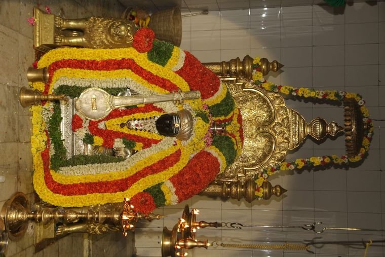 Sadguru Sri Thyagabrahma Aradhana, 2015