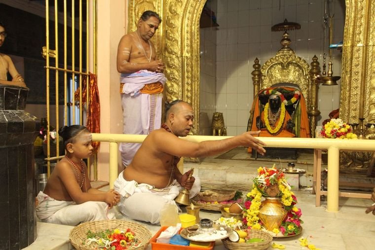Sadguru Sri Thyagabrahma Aradhana, 2015