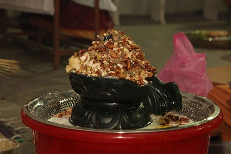 Sadguru Sri Thyagabrahma Aradhana, 2015