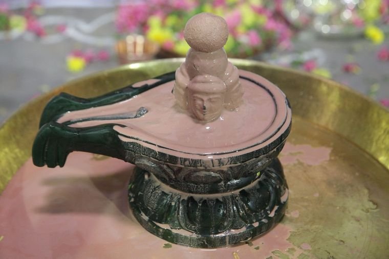 Sadguru Sri Thyagabrahma Aradhana, 2015