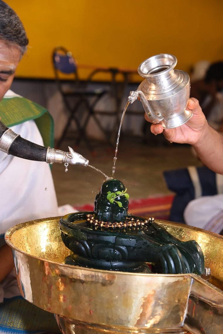 Sadguru Sri Thyagabrahma Aradhana, 2017