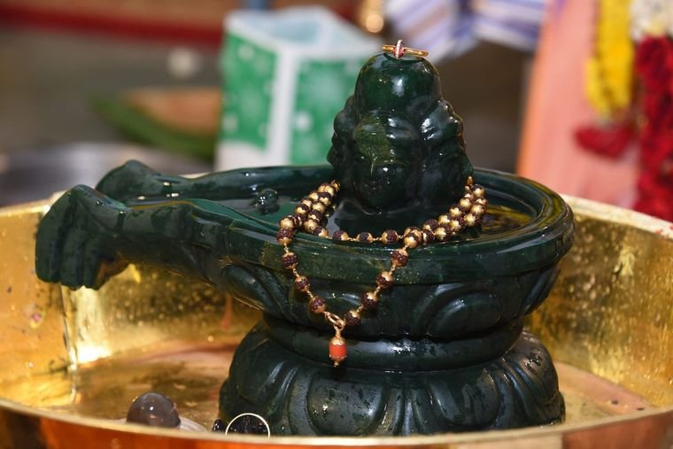 Sadguru Sri Thyagabrahma Aradhana, 2017