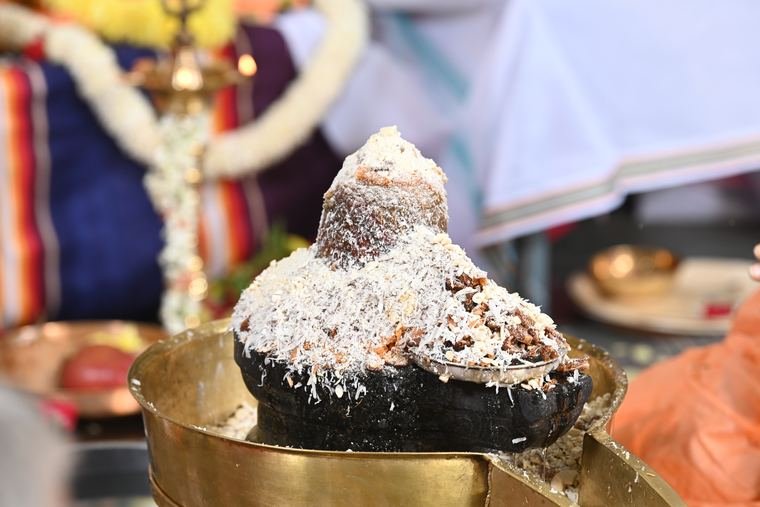 Sadguru Sri Thyagabrahma Aradhana, 2023